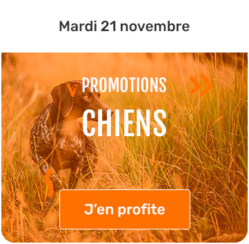 mardi 21 novembre 2023