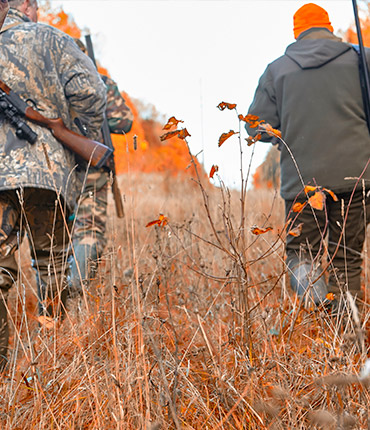 V�tements et chaussants