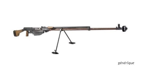 Armes chambrant certains calibres