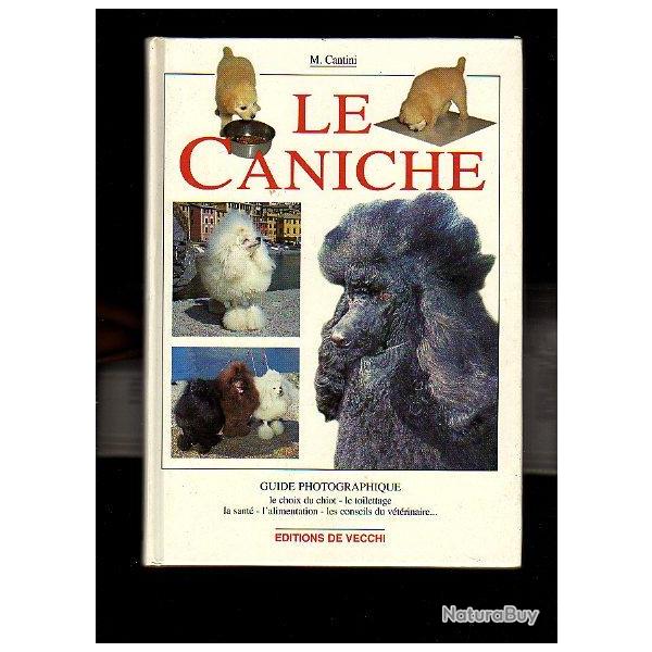 le caniche de m. cantini