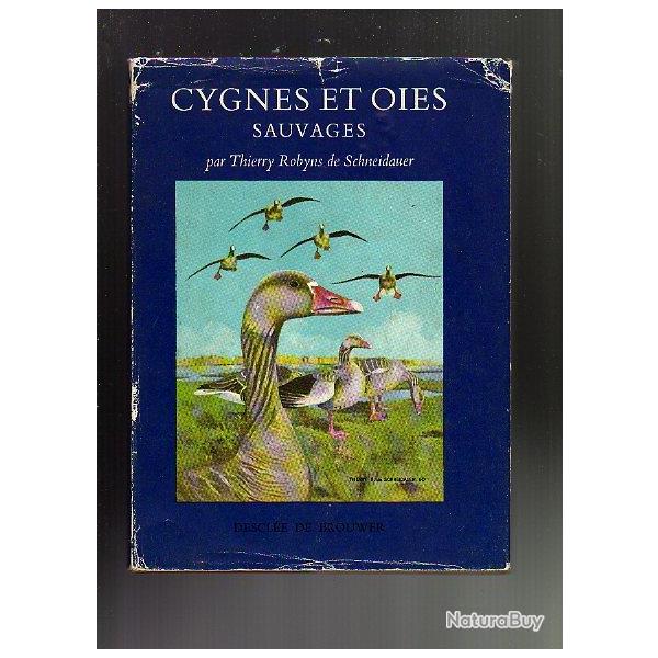 cygnes et oies sauvages par thierry robyns de schneidauer  . assez rare