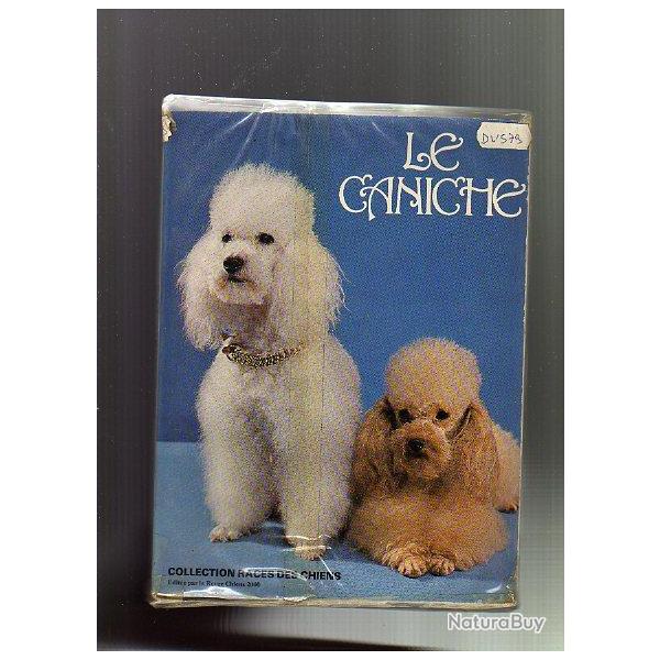 le caniche . collection races des chiens