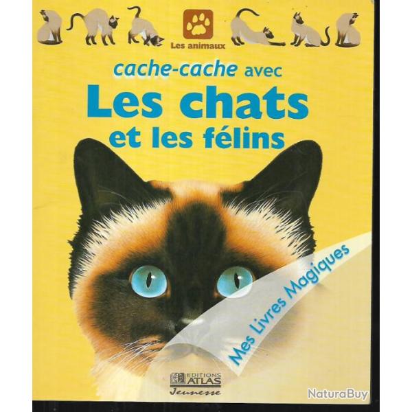 lot de 3 livres chats Mini livre tous les chats , choisir �lever et soigner les jeunes chats , cache