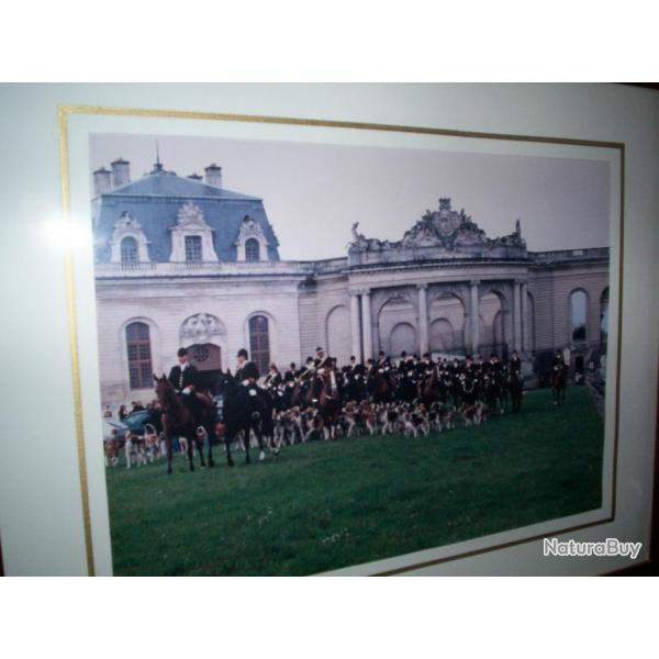 Chasse � courre meute au d�part ,  photo michel spencer  chantilly , sans cadre en vpc