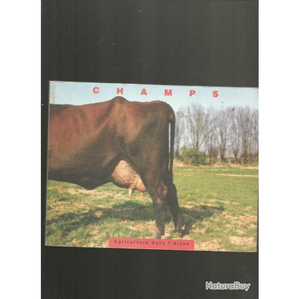 Champs. agriculture dans l'aisne