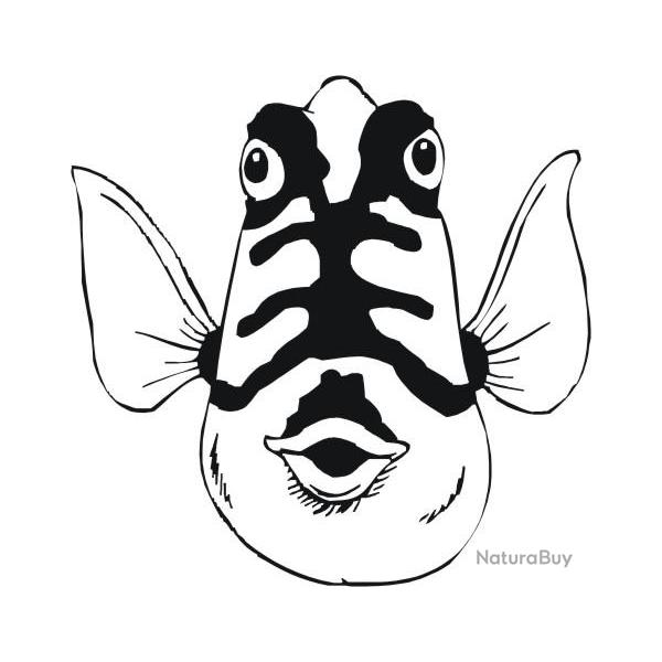 Sticker poisson autocollant