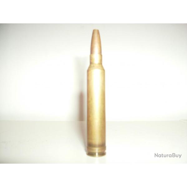 Balle 300 WM Norma 220 grains