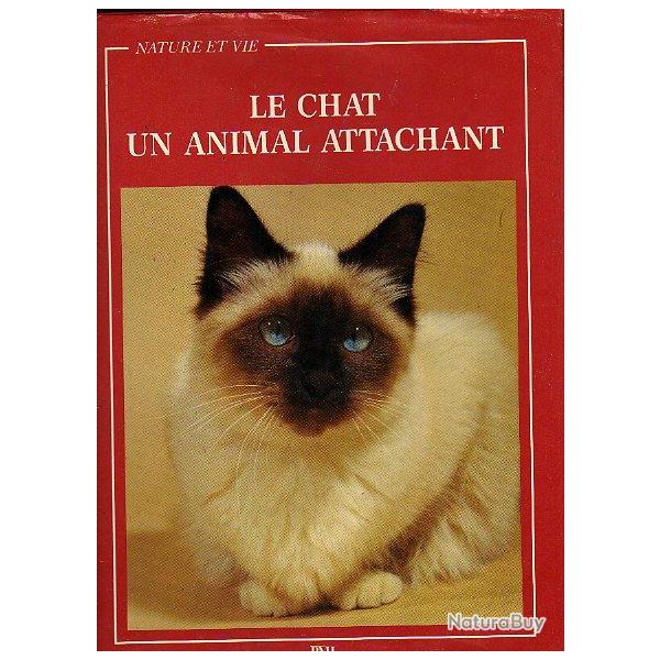 le chat , un animal attachant .