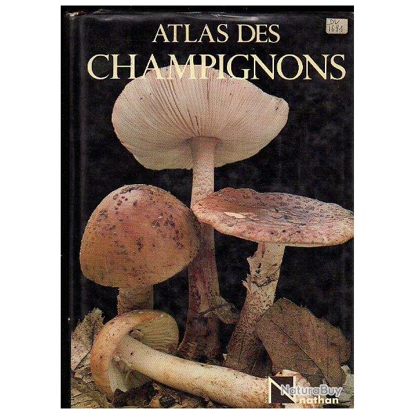 Atlas des champignons de a.rinaldi et v.tyndalo. edition nathan