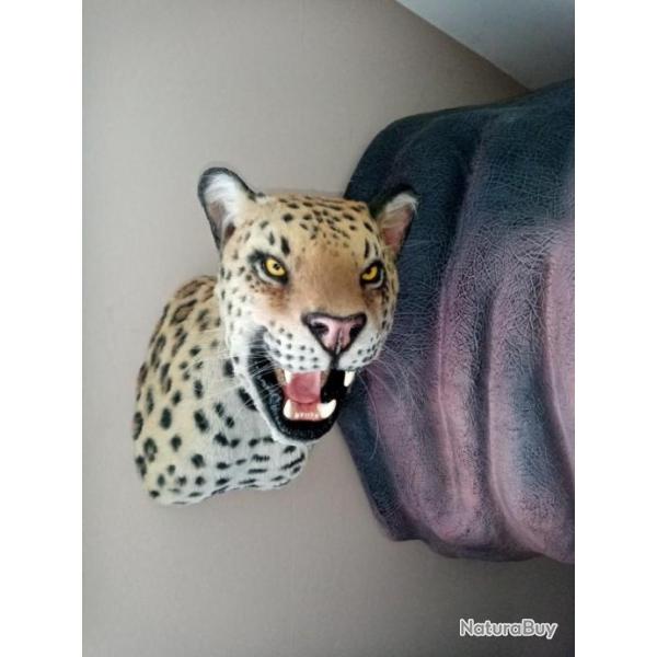Taxidermie troph�e factice l�opard chasse