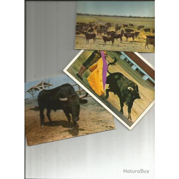 Tauromachie , toros , corrida, camargue,  lot de CPM