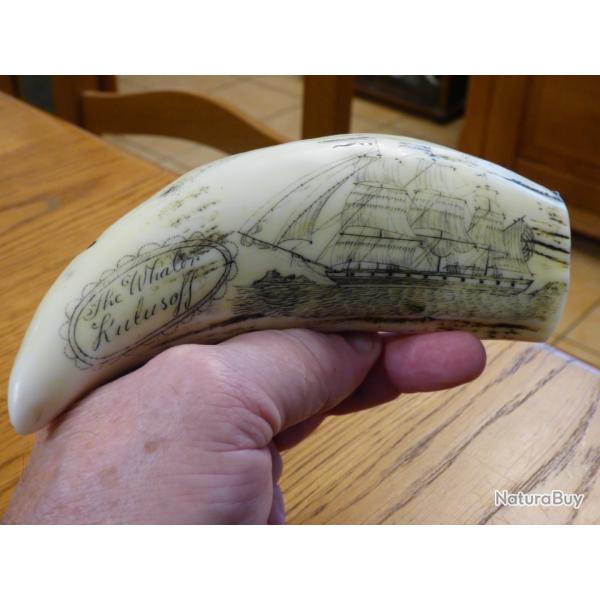 SUPERBE REPRODUCTION D'UNE DENT D'ORQUE EN RESINE+GRAVEE A L'AIGUILLE, PUIS TEINTEE A L'ENCRE+ POLIE