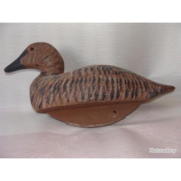 Appelant blette decoy  eider femelle magnum avec quille