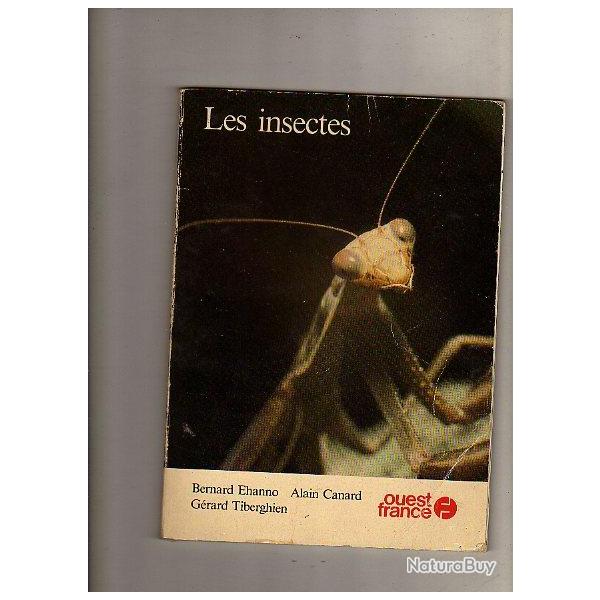 Les insectes initiation � l'entomologie