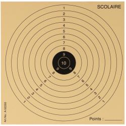 Paquet De 1000 Cibles 15X15 Pour Armes