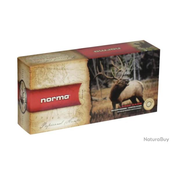 Balles De Chasse Norma Calibre 9,3x62 Pointe Plastique