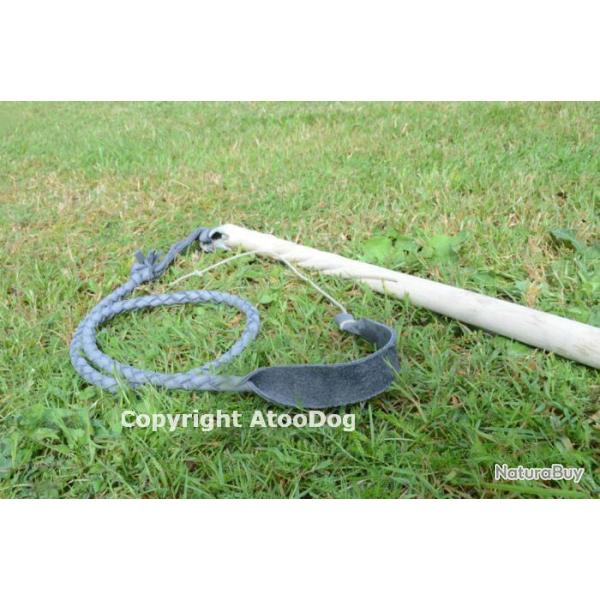 fouet pour chien