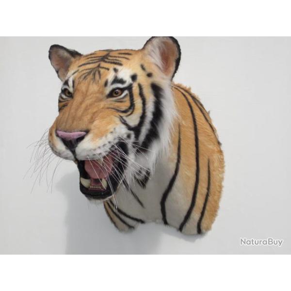 taxidermie naturalis� empaill� chasse  r�plique tigre du Bengal
