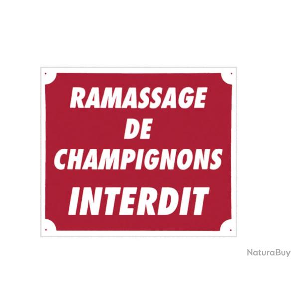Panneau Ramassage de champignons interdit. Dimensions 30 x 25 cm - Rouge