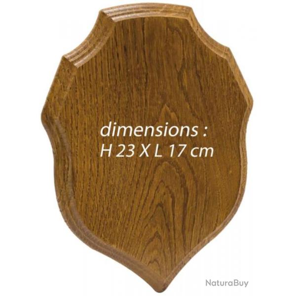 Ecusson chne porte trophe