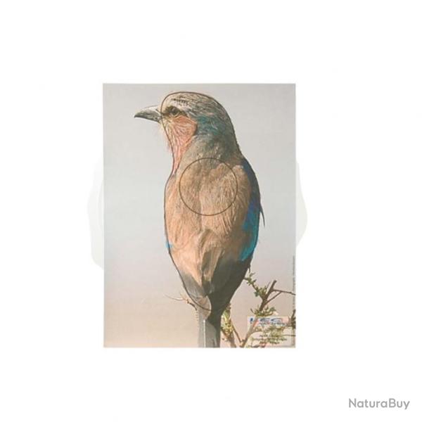 Cible papier rollier