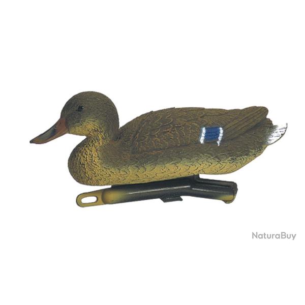 Lot de 5 blettes de Canard colvert femelle