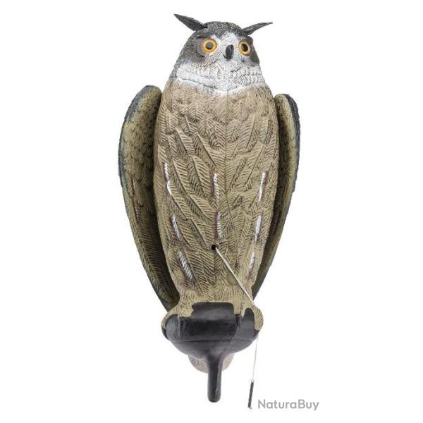 Appelant Grand-duc  ailes battantes 