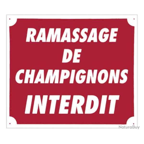 Panneau Ramassage de champignons interdit. Dimensions 30 x 25 cm - Rouge