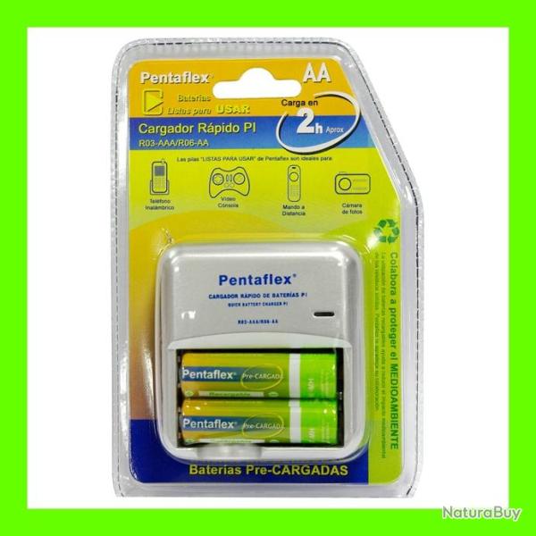 PRIX CASS� ! Chargeur secteur RAPIDE de 2 Piles. Neuf livr� AVEC accus rechargeables AA Pentaflex