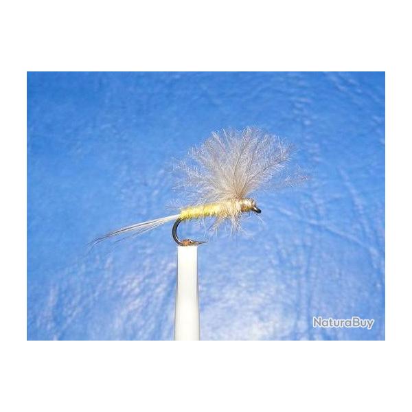 Mouche seche.  3 cdc