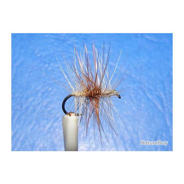 Mouche seche. 3 tricolores claires