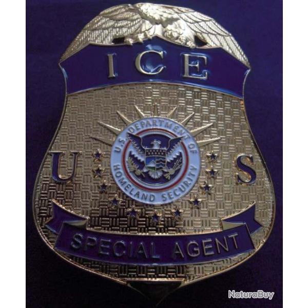 Insigne ICE