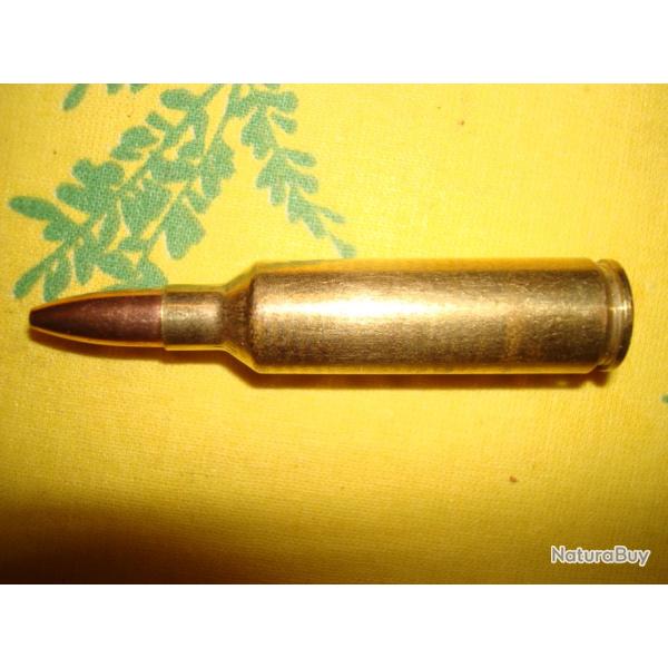 1 cartouche :270 wsm Winchester