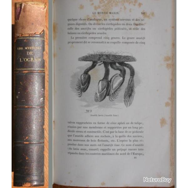 Les myst�res de l'oc�an - Arthur Mangin - 1865 La mer les poissons les mar�es