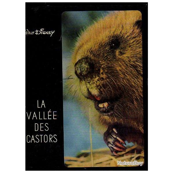 La valle des castors. walt disney