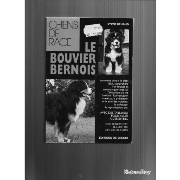 Le bouvier bernois . chiens de race