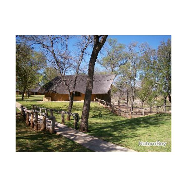 ZIMBABWE chasse du Buffle Caffer, Lion, Lopard, Nyala,...