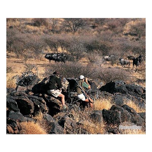 NAMIBIE Safari Chasse - 6 jours de Chasse