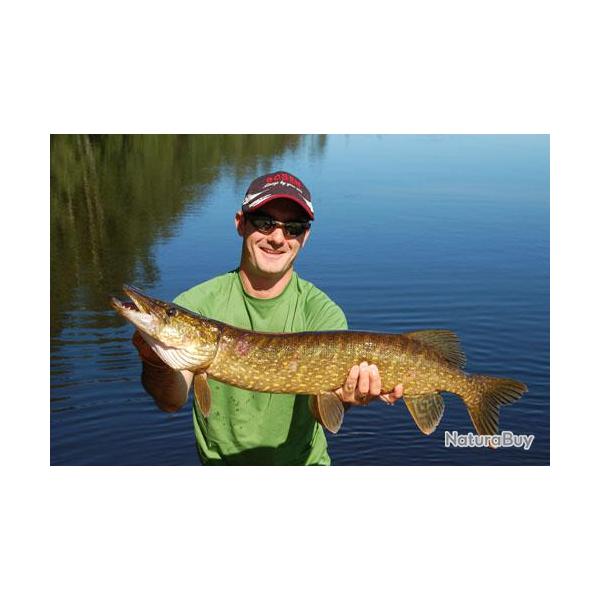 Pche du Brochet en Laponie Sudoise