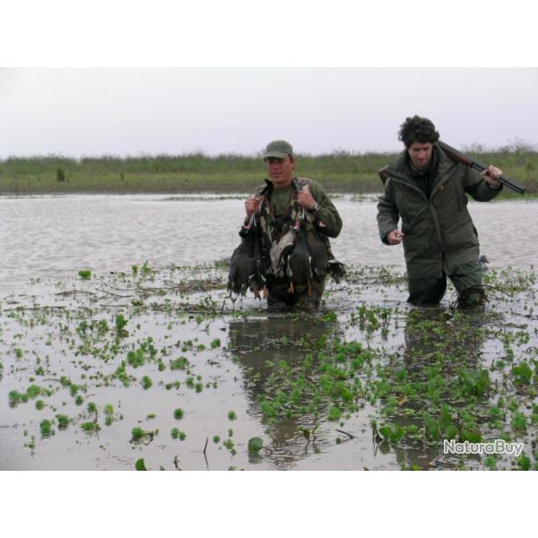 Argentine : Chasse du Gibier d'Eau