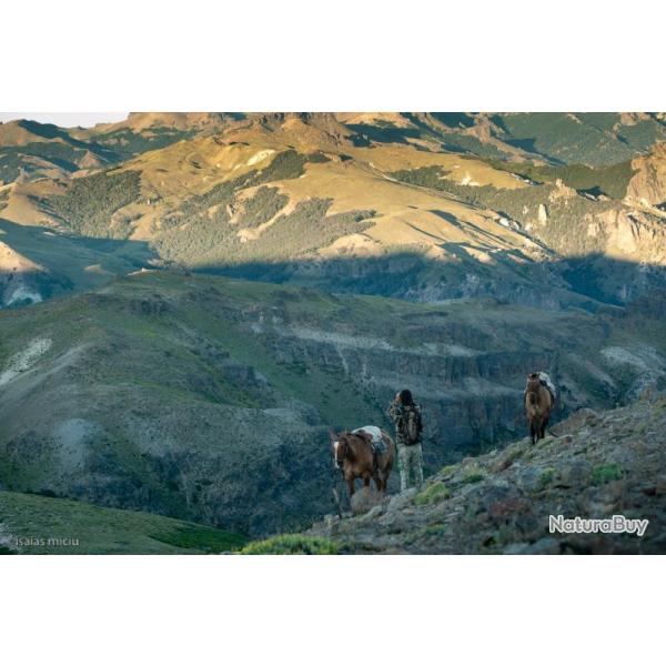 Chasse du Cerf Elaphe des Andes en Argentine