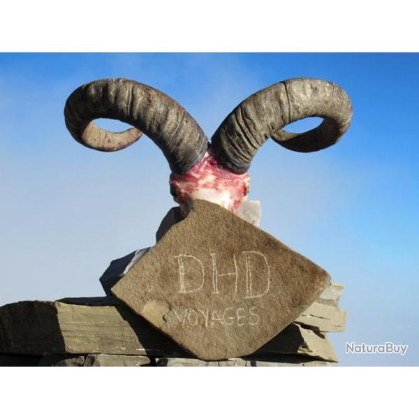 Azerbaidjan : Chasse du Tur