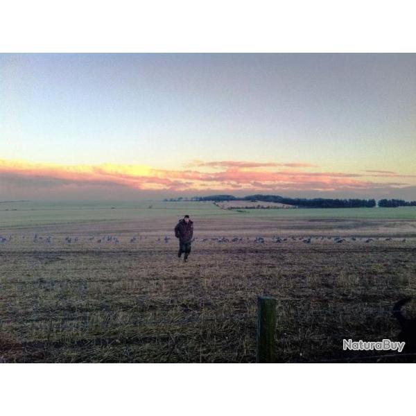 Chasse Mixte en Ecosse - Chasse � l'Oie