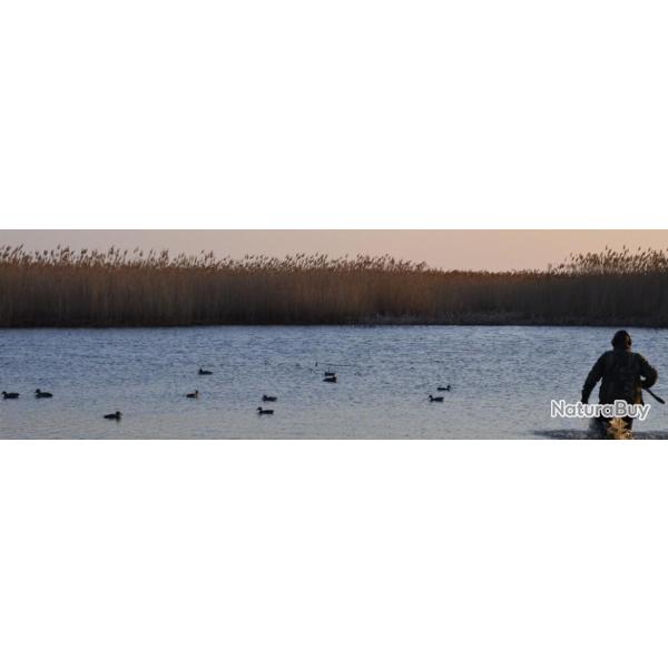 Chasse du Gibier d'Eau sur le Delta de la volga au Kazakhstan