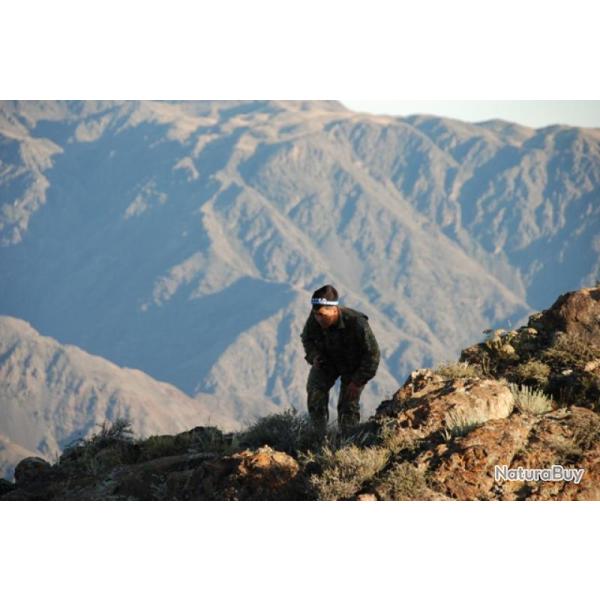 Kazakhstan : Chasse de l'Ibex de Sibrie