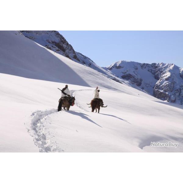 Chasse de l'Ibex de Sibrie au Kirghiztan