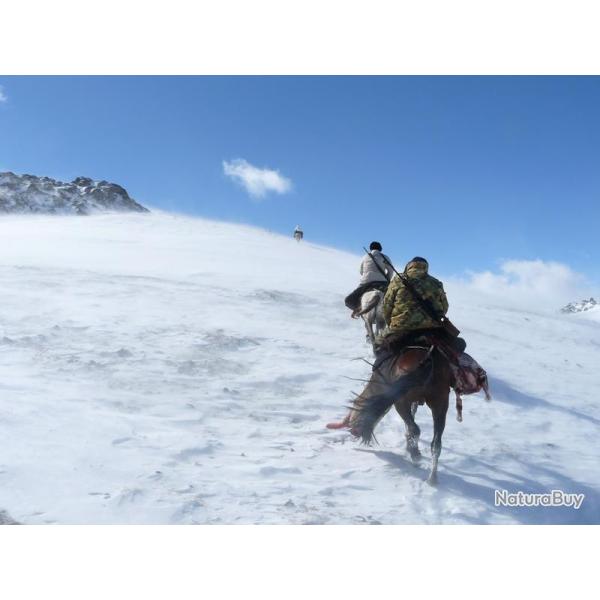 Chasse du Marco Polo au Kirghizistan
