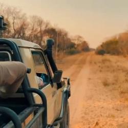 Chasse au grand gibier en Afrique du sud