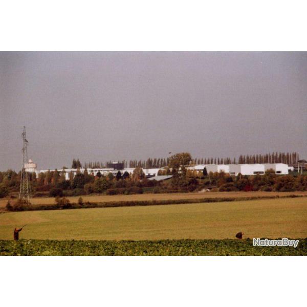 Chasse en Plaine : perdreaux gris, livres, lapins, faisans naturels