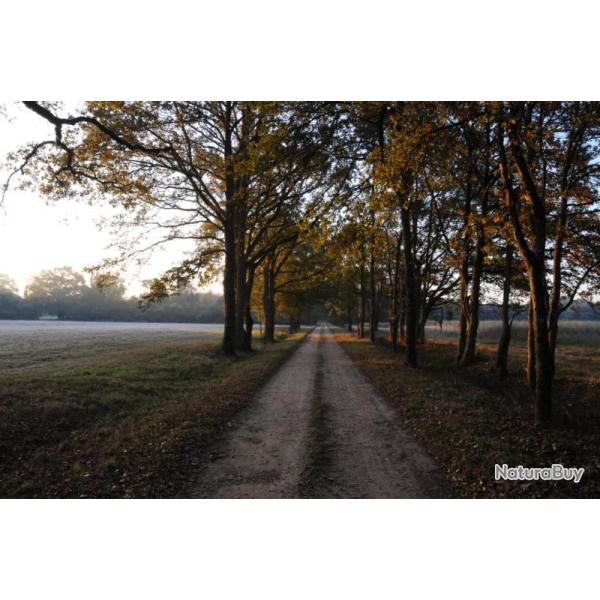 Chasse devant soi au Domaine de la Chaise